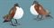A PAIR OF GLASS, COPPER AND METAL PIGEON TABLE LAMPS, DESIGNED