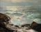 The tranquil sea  