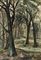 A forest path  