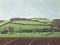Devon Pastorale  