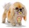 A STEIFF STANDING CHIN-CHIN,
