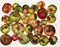 Red Apples, New York, 1985  