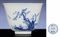 KANGXI SIX-CHARACTER MARK WITHIN A DOUBLE-CIRCLE AND OF THE