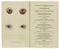 ADAMS [afterwards RAWSON], William