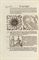 [LYCOSTHENES, Conrad (Conrad Wolffhart,