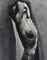 Nude, 1943