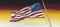 Our Flag  