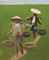 Workers in the rice field  