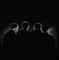 MIKE MITCHELL  