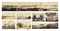 Photographs of H.M.S. Galatea 1867-71 and