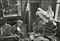Henri Matisse à son domicile, Vence,