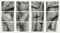 Self Portrait (Frieze, No. 2, Four Panels),