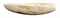 LAME EN BENITIER GEANT GIANT CLAM