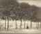 Along the Elbe, Dresden, 1909