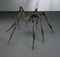Spider III
