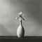 Single Orchid, 1982  