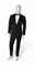 Skyfall  