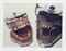 Dental Molds, 1982-1983