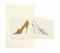 High Heel