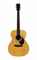 A GUITAR, PS2, PAUL SIMON SIGNATURE EDITION, NAZARETH, PA, 2003