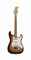 FENDER ELECTRIC INSTRUMENT COMPANY  