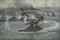 The Battle of Jutland  