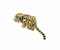 A GOLD, ENAMEL, DIAMOND AND EMERALD BROOCH,