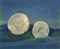 Les coquilles  