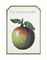 Ceci n'est pas une pomme (This is not an