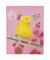 Yellow Canary (on pink)  