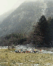 Maloja  