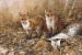 Fox cubs in a wood  