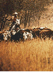 Untitled (Cowboys)  