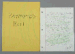 BRITNEY SPEARS BOOK REPORT  