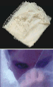 MADONNA'S VEIL FROM LIKE A VIRGIN VIDEO  