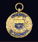 A 9CT GOLD AND ENAMEL MEDAL  