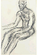 Seated male nude  
