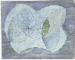 Forms in Space  