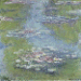 Nymphéas  
