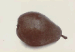 Pear Emily Heyst, 1901-1902  