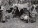 Belle Glade, Florida, 1939  