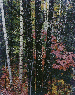 Intimate Landscapes, 1956-1977  