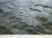 Still Water (The River Thames, for example), Images G, I, M, 1997-1999  
