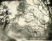 Untitled, 1996  