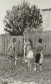 Real Pictures #11, 1988  