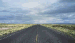 Highway 376, Near Manhattan, NV, 1998  