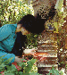 Black Hair Sewn into Coconut Palm, from Vulnerable Points, 1996  