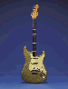 FENDER ELECTRIC INSTRUMENT COMPANY  