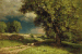 Landscape with Sheep  