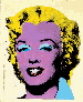 Lemon Marilyn  